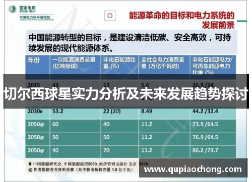 切尔西球星实力分析及未来发展趋势探讨