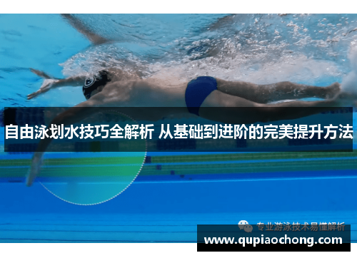 自由泳划水技巧全解析 从基础到进阶的完美提升方法