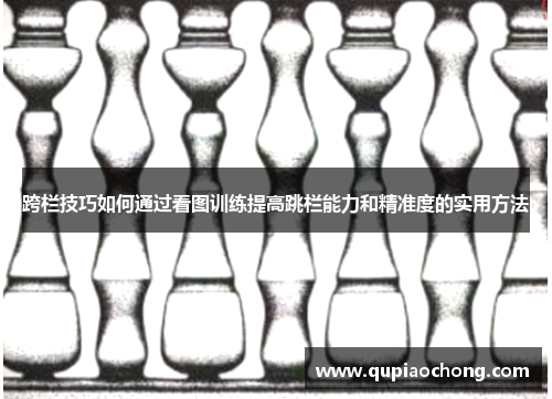 跨栏技巧如何通过看图训练提高跳栏能力和精准度的实用方法